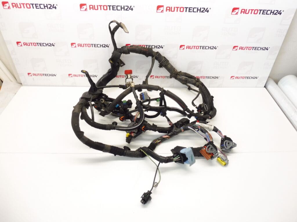 Arnés Citroën Peugeot 1.6HDI 9663385080 6569FK 6569JZ
