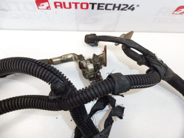 Conjunto Citroën Peugeot 2.0HDI RHR 9659747380 9664702980 9661639880 5642HR - Imagen 2