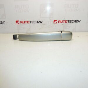 Citroën Peugeot's Door Handler Blue ETS 9101W8