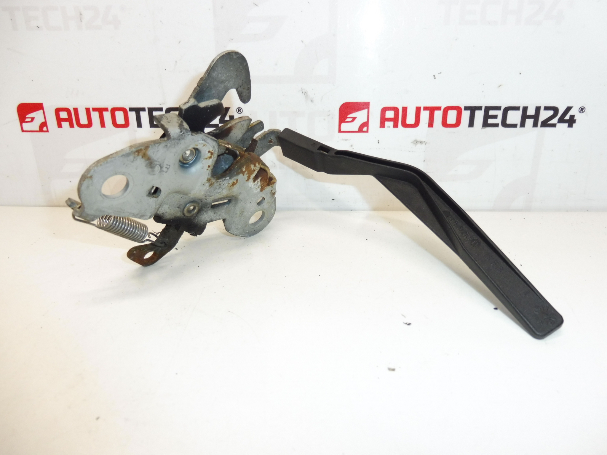 Cerradura capot Citroën C3 PLURIEL 793467