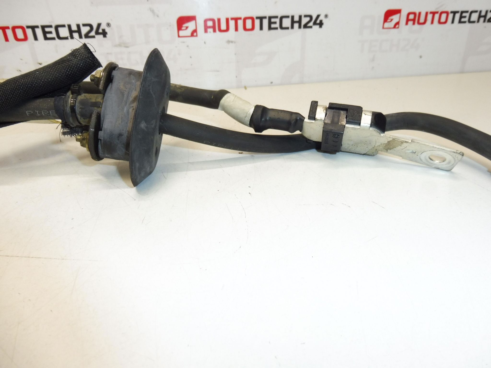 Cable de conexion + polo en motor Citroën Peugeot 1484991080 5642Y3