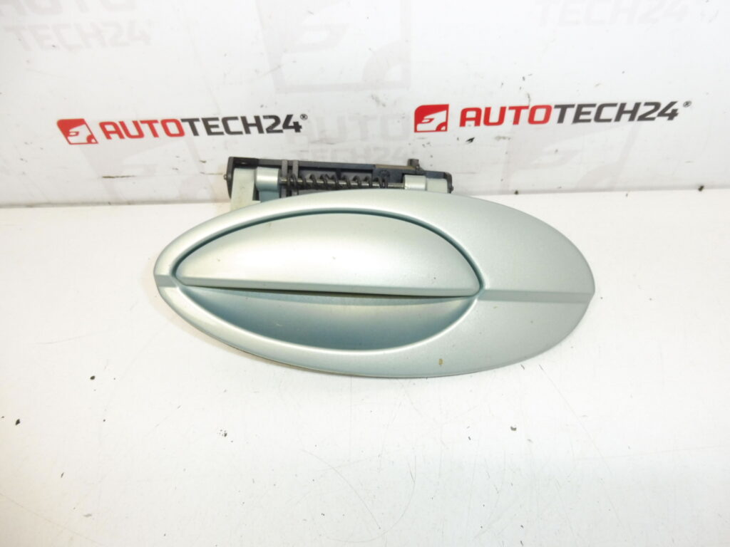Manija de la Puerta Trasera Izquierda Citroën C5 I y II 9631831077 9644270277 9101S7 LQHC