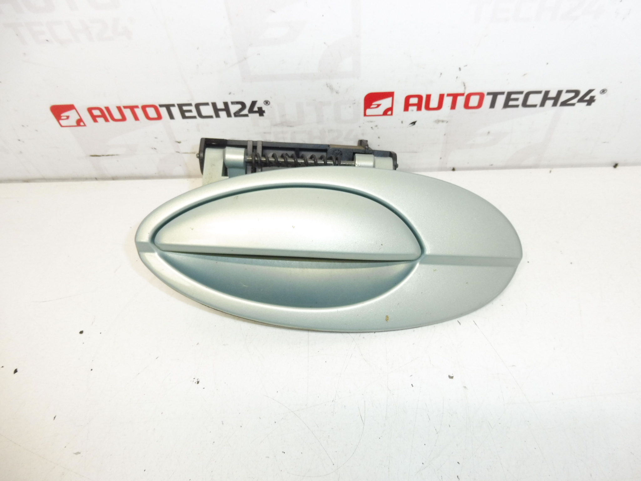 Manija de la Puerta Trasera Izquierda Citroën C5 I y II 9631831077 9644270277 9101S7 LQHC