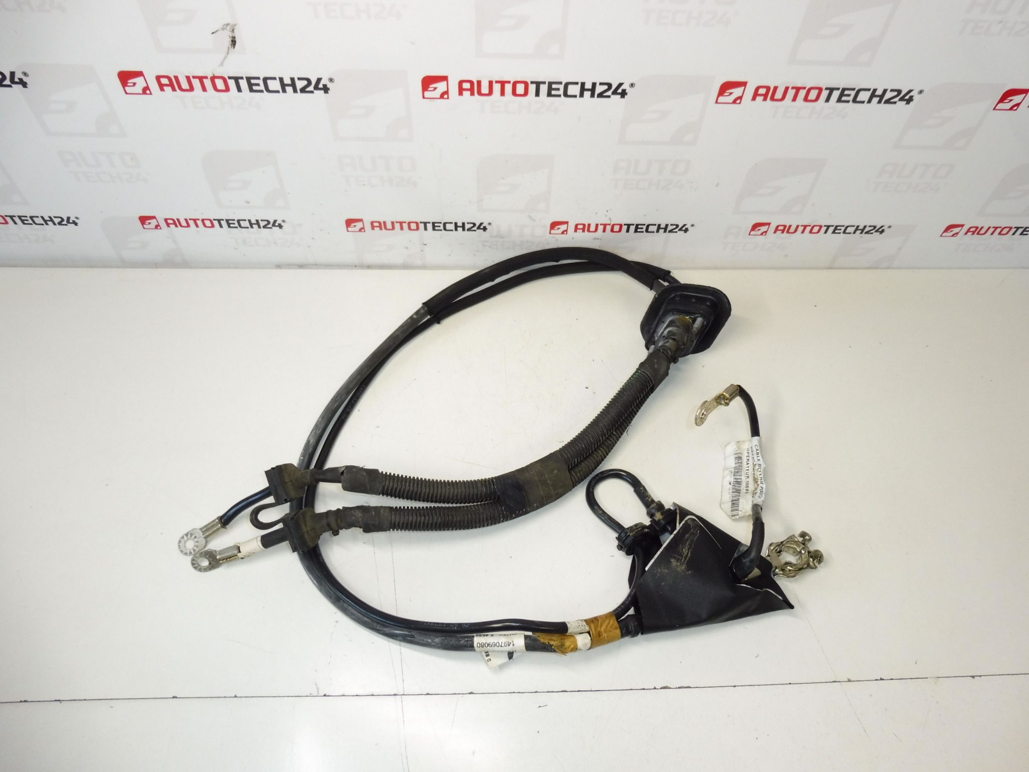 Cable de conexión + pole en Citroën Peugeot 1497069080 1497070080 Motor