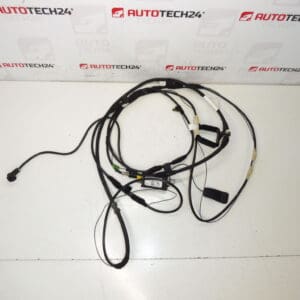 Cable de antena Citroën C8 Peugeot 807 1489134080 1494844080
