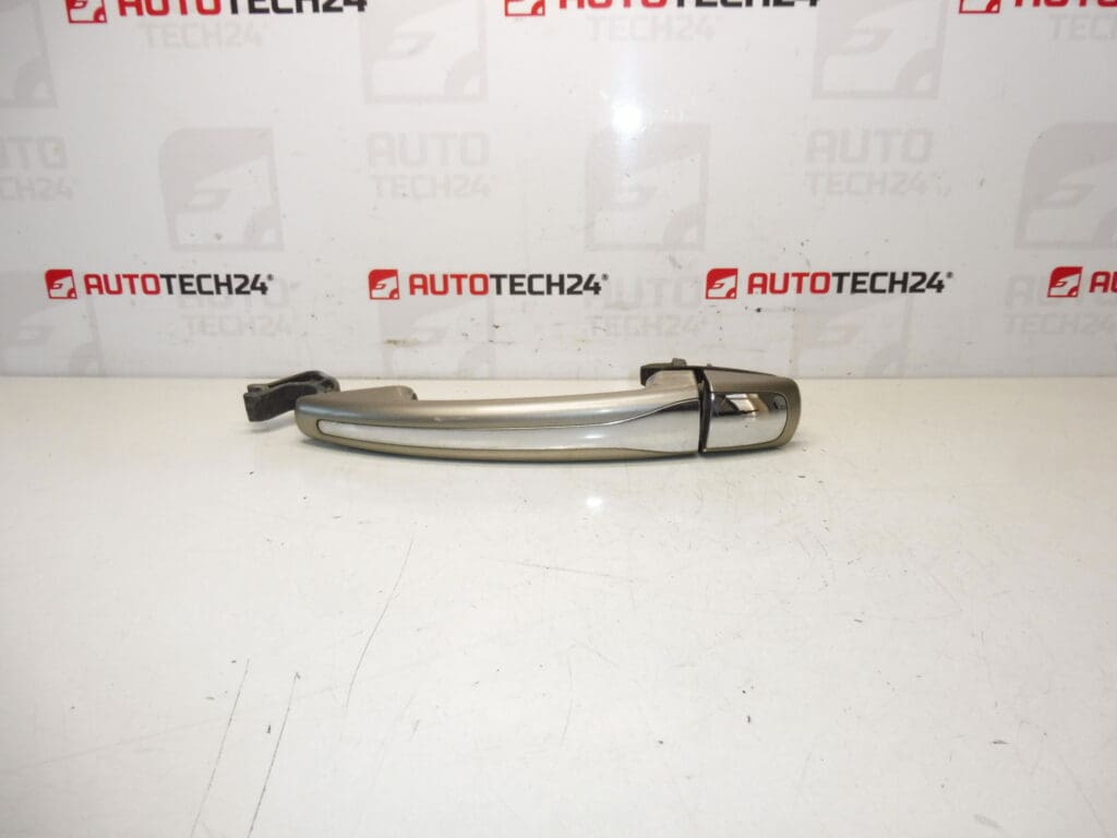 Citroën 9101HS Puerta de la puerta