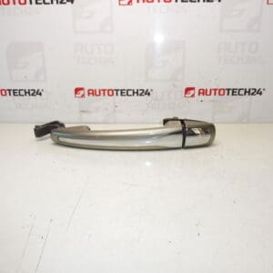 Citroën 9101HS Puerta de la puerta