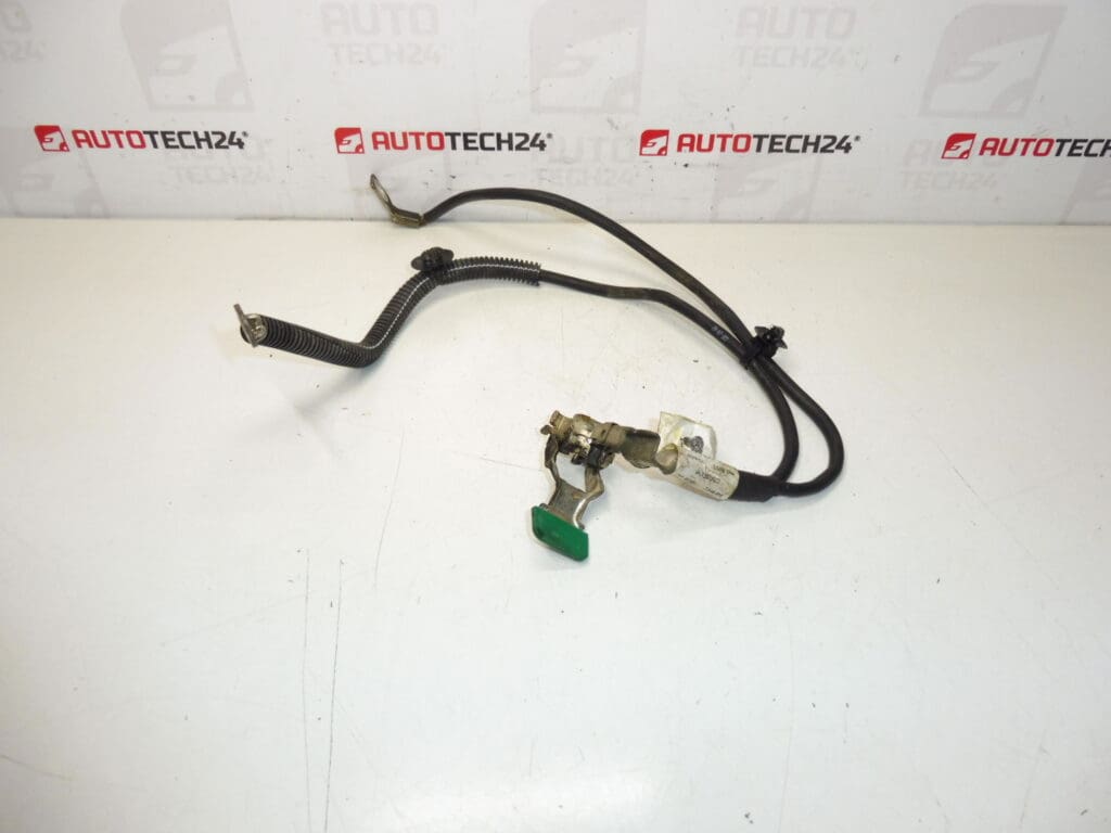 Citroën Peugeot 9661191580 menos paquete