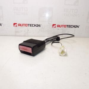 Titular de pasaporte de pasajeros Peugeot 407 8973PV