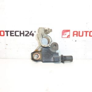 Citroën Peugeot 9666919780 Unidad de polo negativo