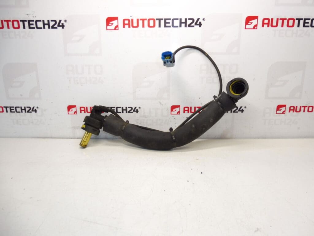 Conexión del Citroën Peugeot 1.8 16V y 2.0 16V 9659928480 1192Z6