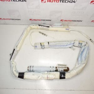 Izquierda Citroën C3 Picasso 9681587780 8335WK