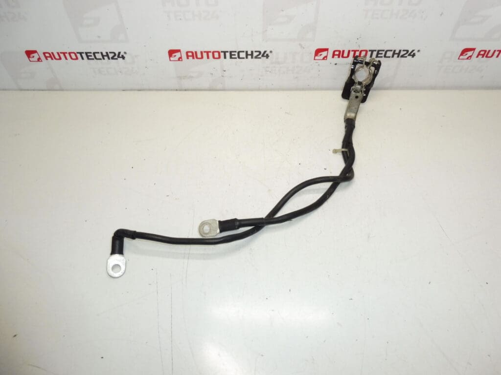 Un paquete positivo para la batería Citroën Peugeot 1612229980