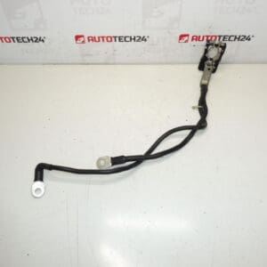 Un paquete positivo para la batería Citroën Peugeot 1612229980