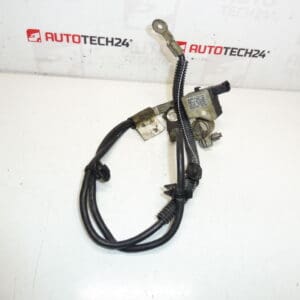 Cable polo negativo Citroën Peugeot 2.0HDI 9672544480 9666488380