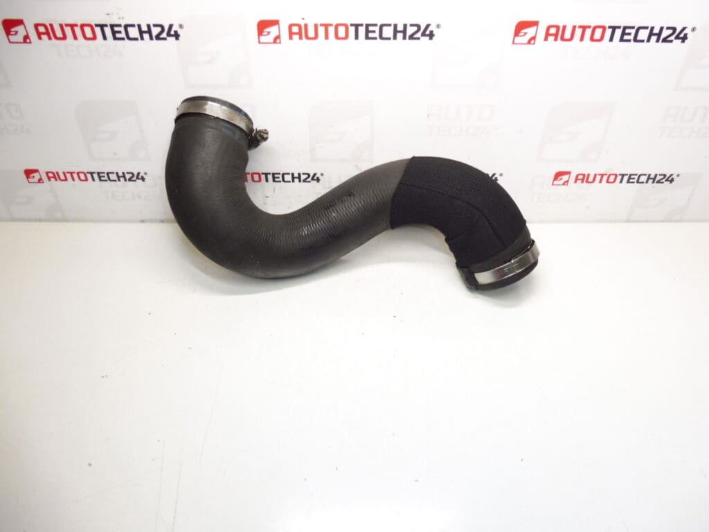 Toma de aire Citroën Peugeot 2.0 HDI 0382NE