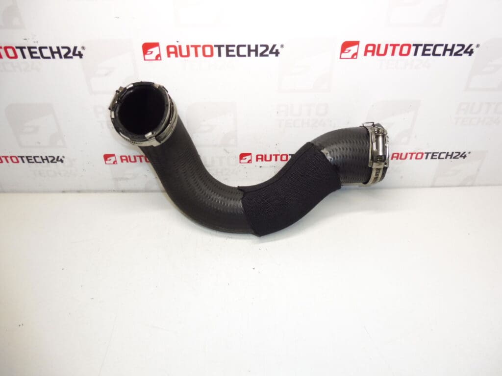 Toma de aire Citroën Peugeot 2.0 HDI 0382NF