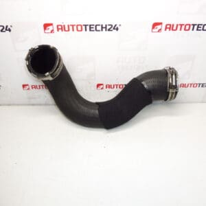 Toma de aire Citroën Peugeot 2.0 HDI 0382NF