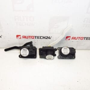 Servomotor Mahle Citroën Peugeot Z5509001 1610496880