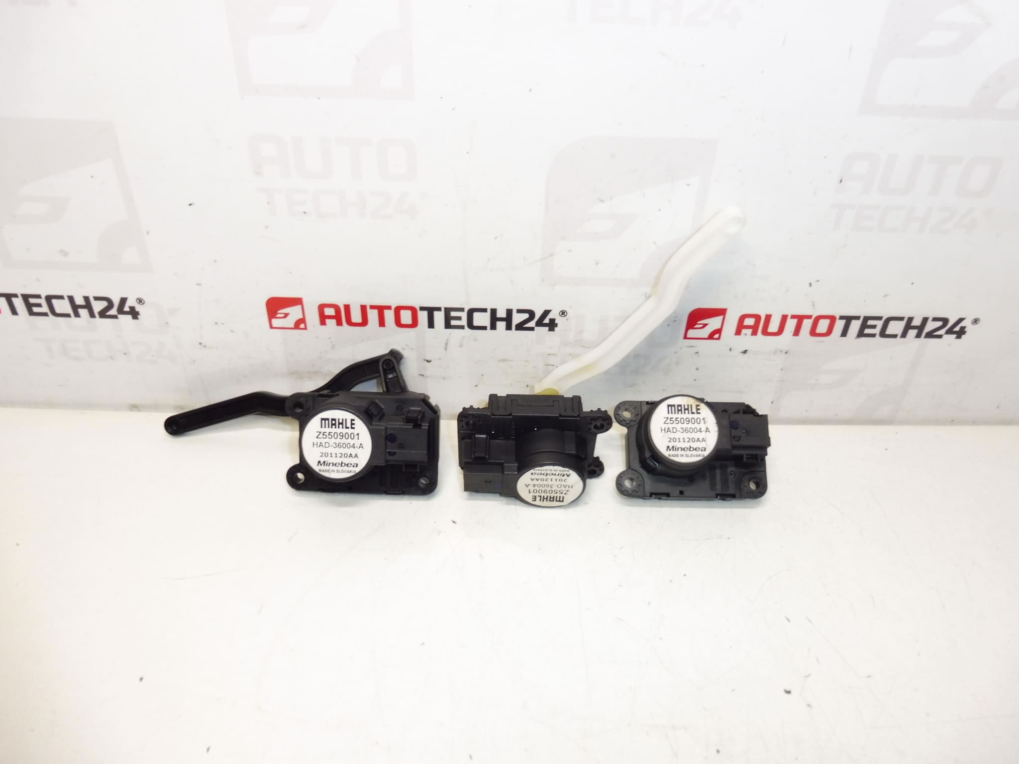 Servomotor Mahle Citroën Peugeot Z5509001 1610496880