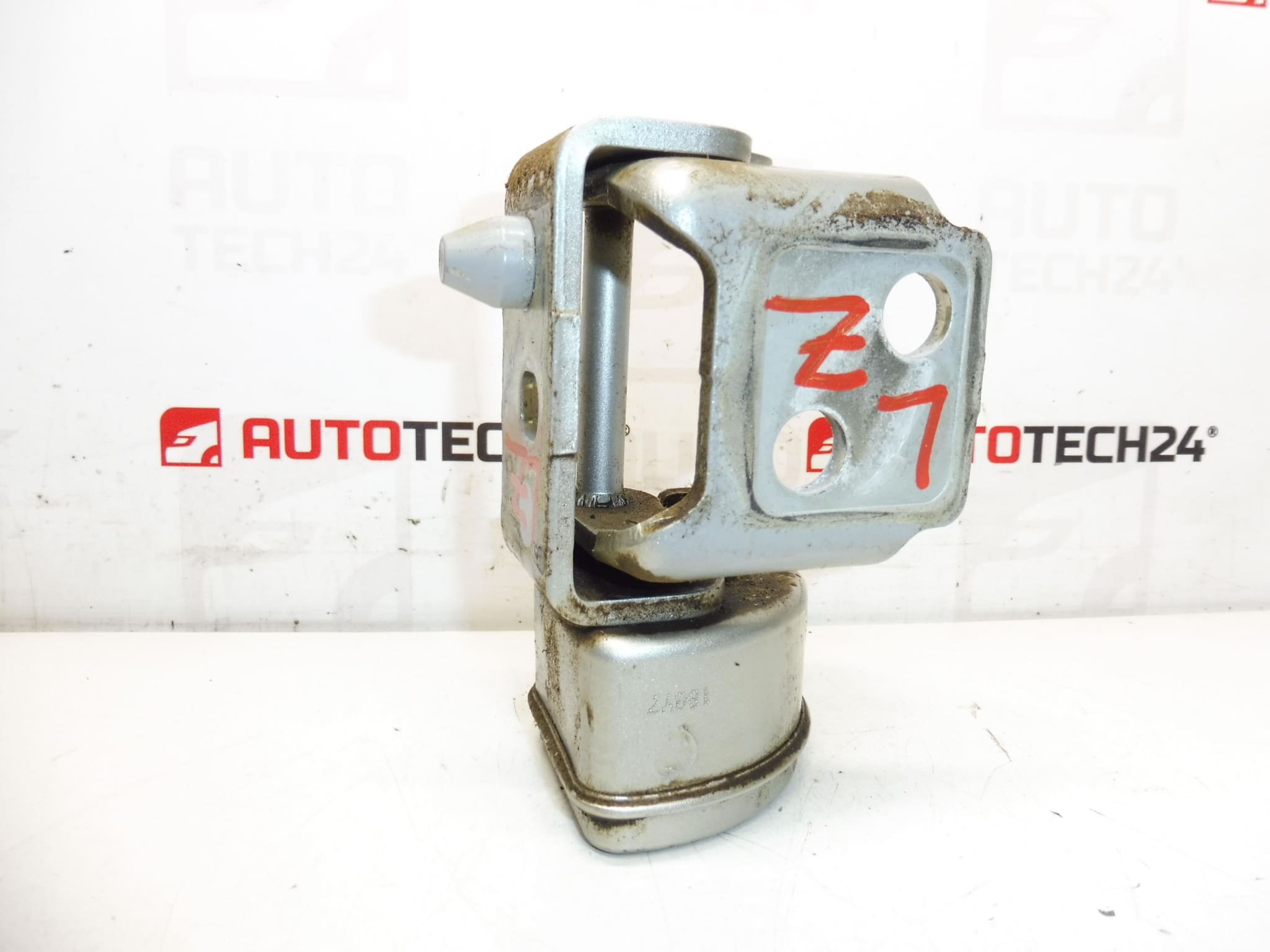 Tope bisagra puerta trasera izquierda ETSC Peugeot 207 15189580 9037C1 - Imagen 2