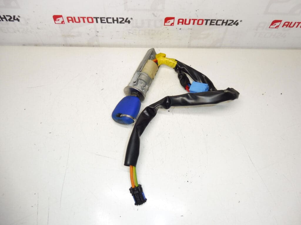 Caja de interruptores Peugeot 206 1 llave 4162Z1