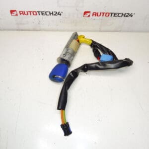 Caja de interruptores Peugeot 206 1 llave 4162Z1