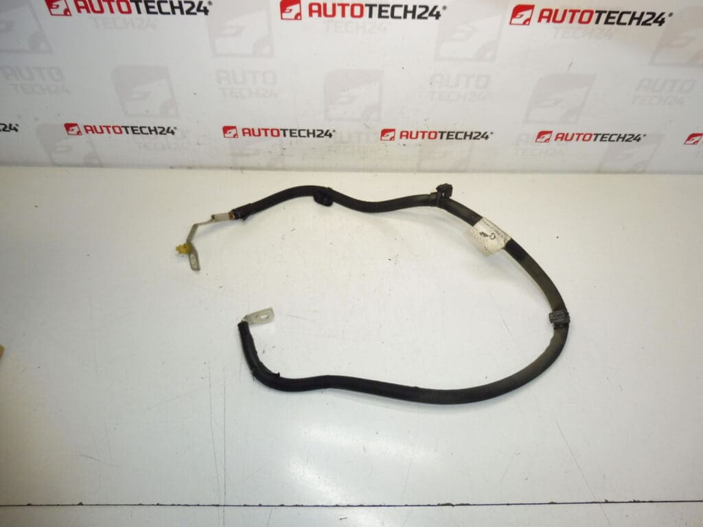 Cable polo negativo bateria 9676811480 5638NK