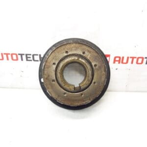 Polea De Cigüeñal 1.6 HDI Citroën 9810698080 0805E5