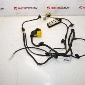 Arnes Asiento Conductor Citroen C4 Picasso 6505V3