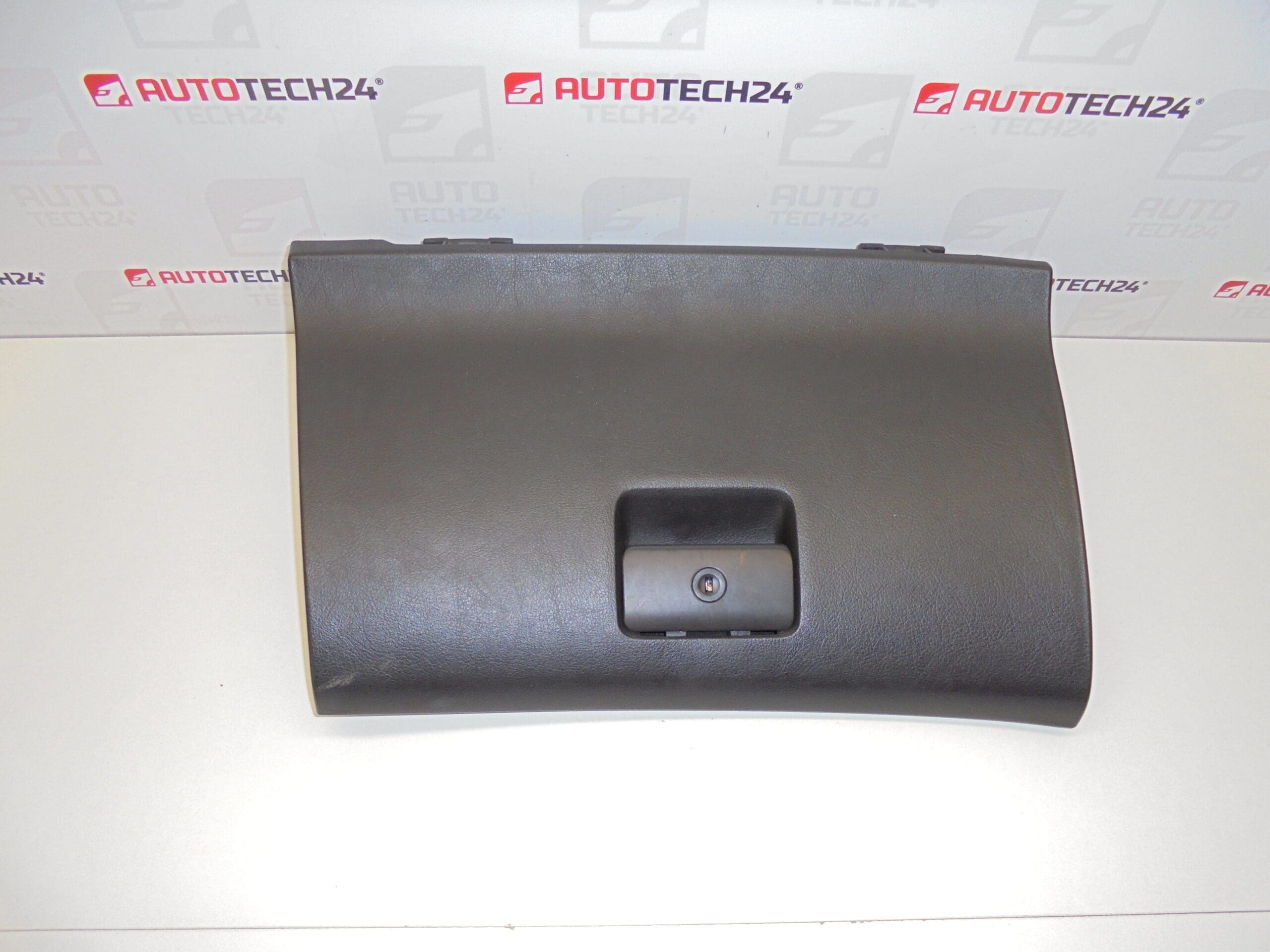 Caja de guantes Peugeot 307 8220TZ