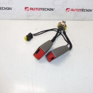 Bloqueo del cinturón de seguridad Citroën C5 II 8974W8