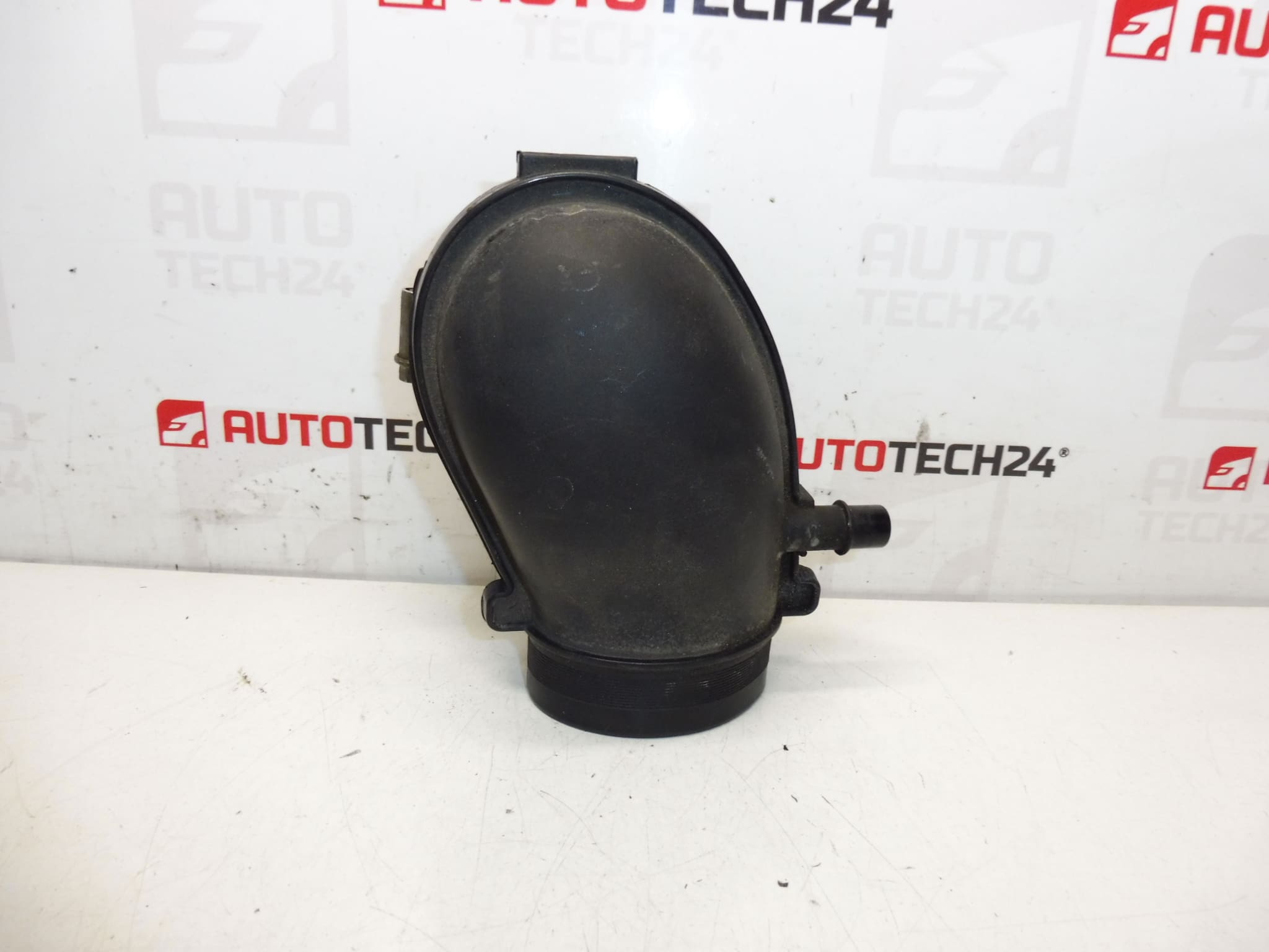 Conexion Citroën Peugeot 2.0 i 9641733880 143431
