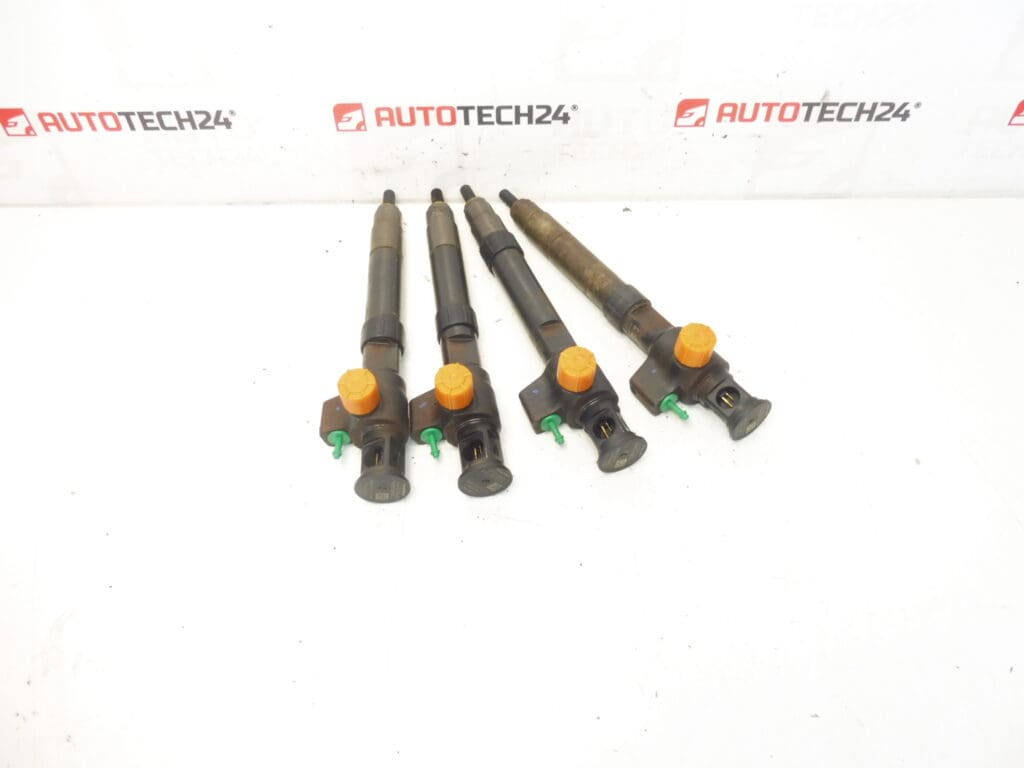 Juego de inyección Bosch 2.0 HDI kilometraje 141000 km 9674984080