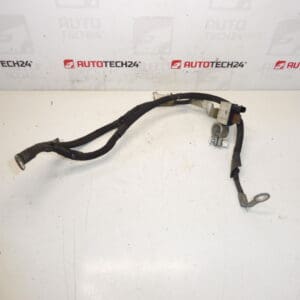 Arnés negativo del motor Peugeot 9803673280 9678116380 5638WH