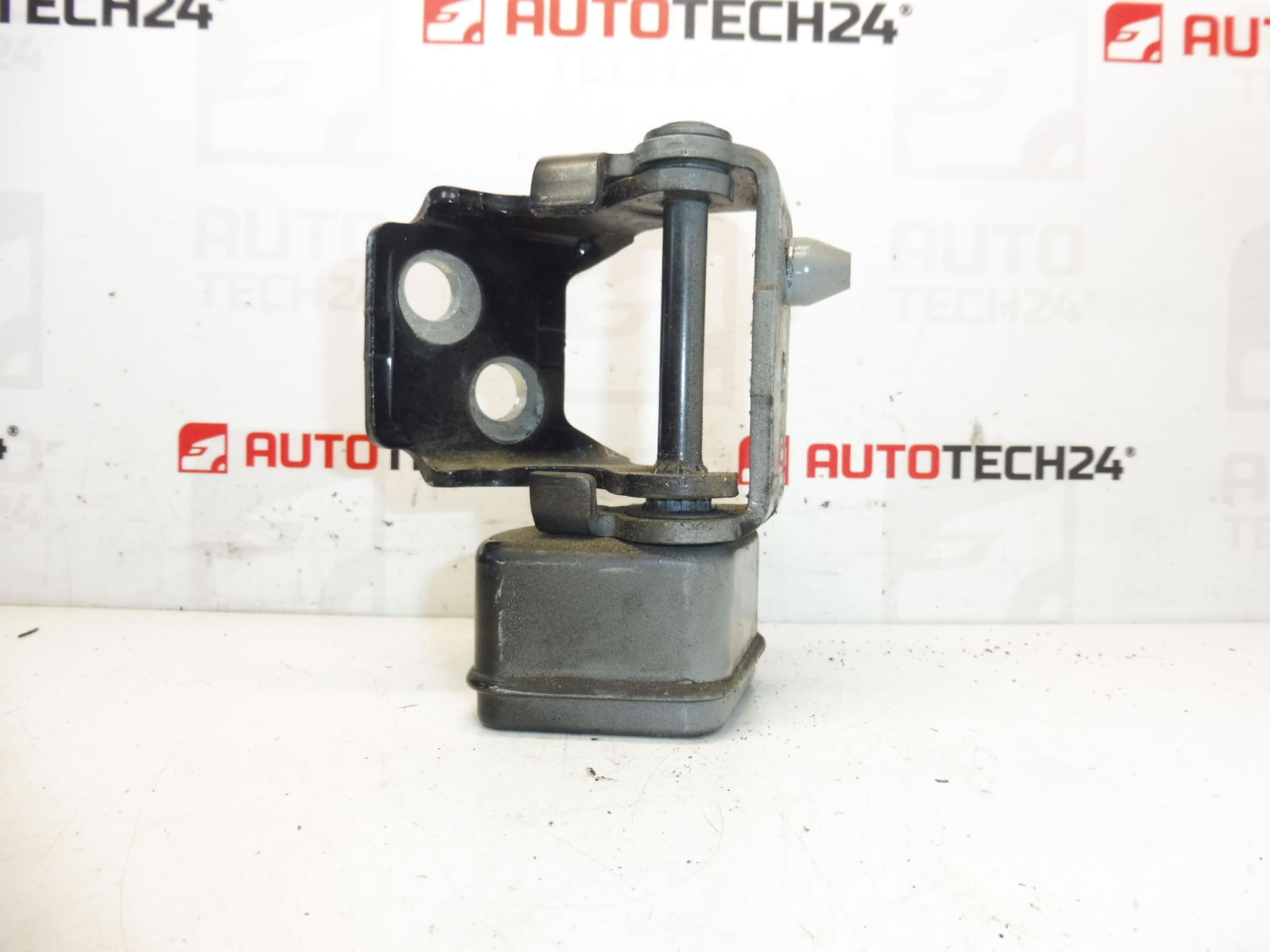 Limitador y bisagra de la puerta trasera izquierda EXLD PEUGEOT 207 9037C1 - Imagen 2