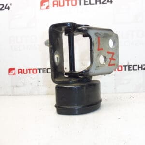 Tope bisagra puerta trasera izquierda EXLD Peugeot 207 9037C1
