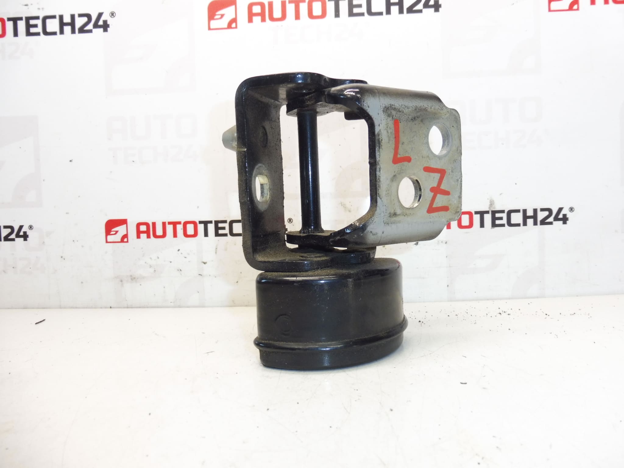 Tope bisagra puerta trasera izquierda EXLD Peugeot 207 9037C1