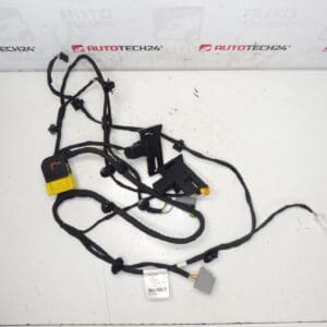 Arnés del asiento del conductor Citroen C4 Picasso Valeo 6505T6 5243566