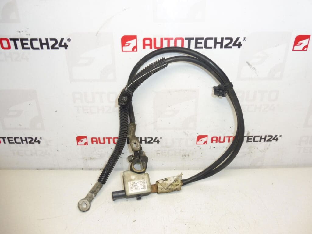 Arnes Negativo Motor Citroën Peugeot 9672183080 9666488280