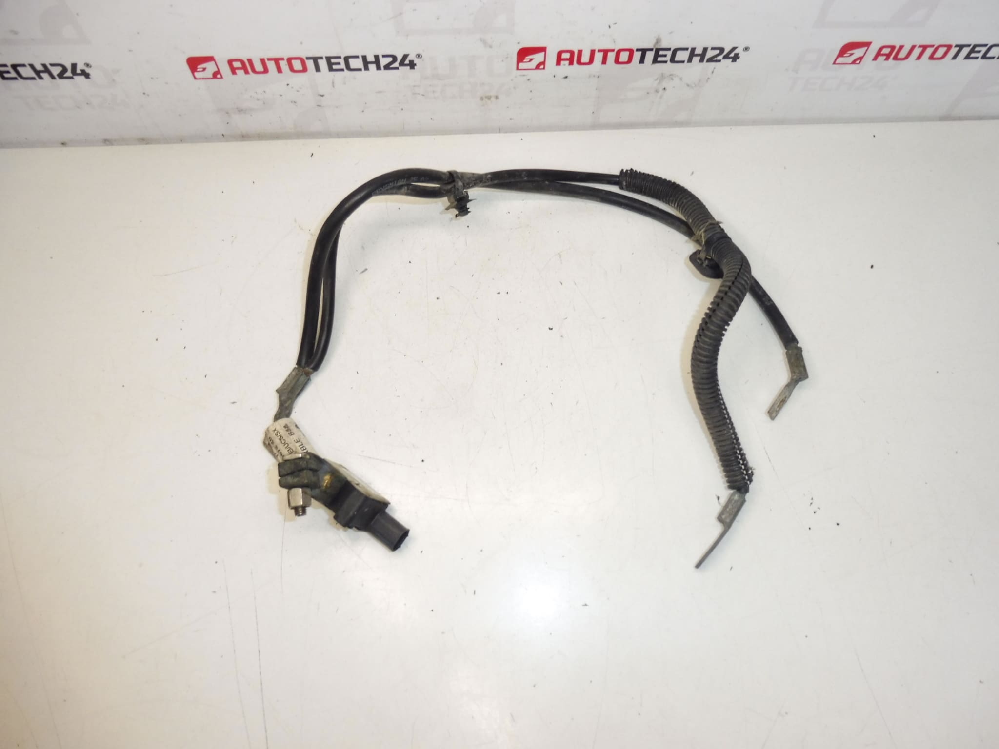 Cable polo negativo Citroën Peugeot 2.0HDI 9664067880 5638SP