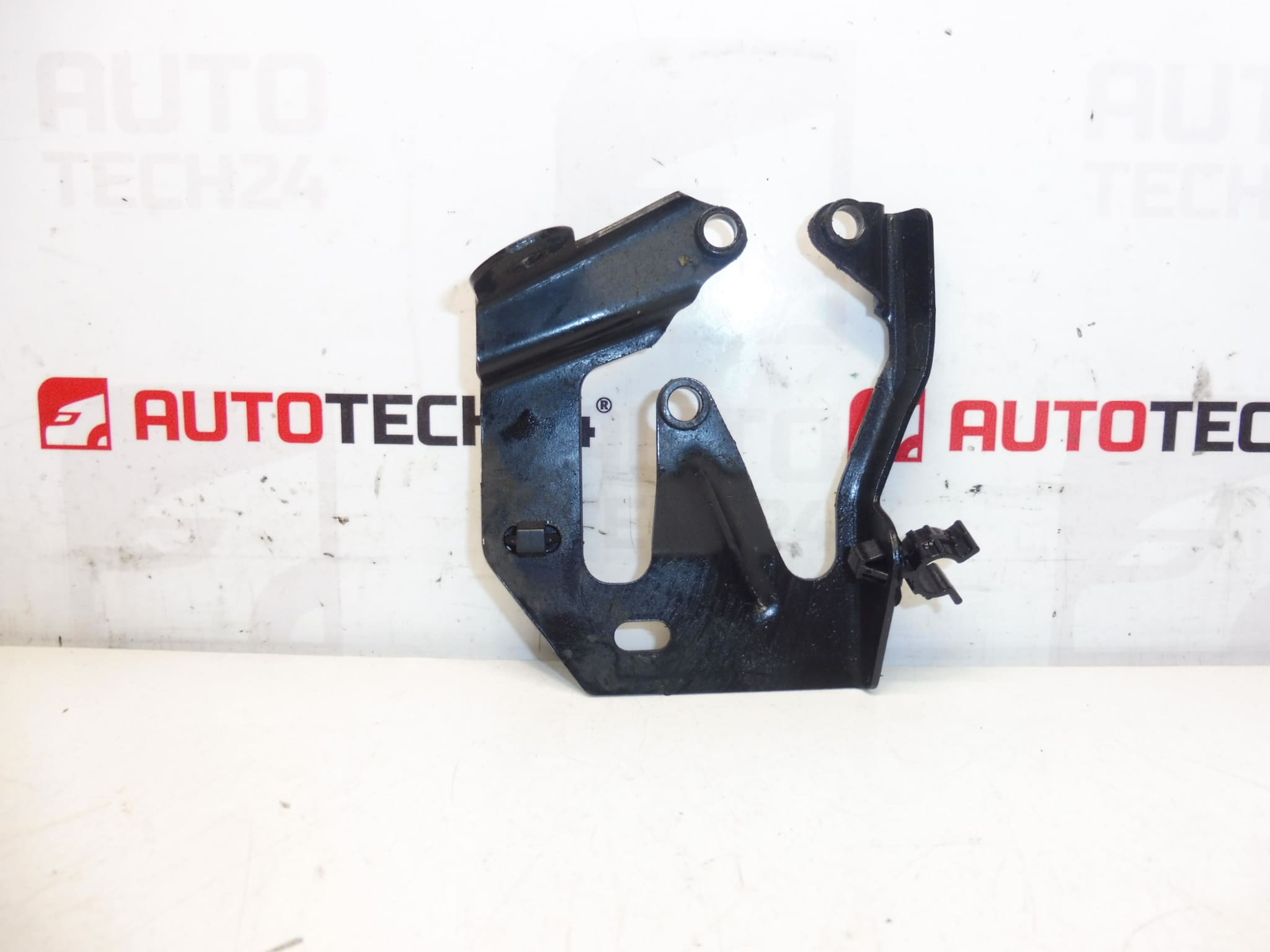 Soporte bomba inyección trasera 1.4 1.6 HDI 192666