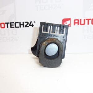 Botón del portón trasero EZWD Peugeot 307 CC 9632343580 872559